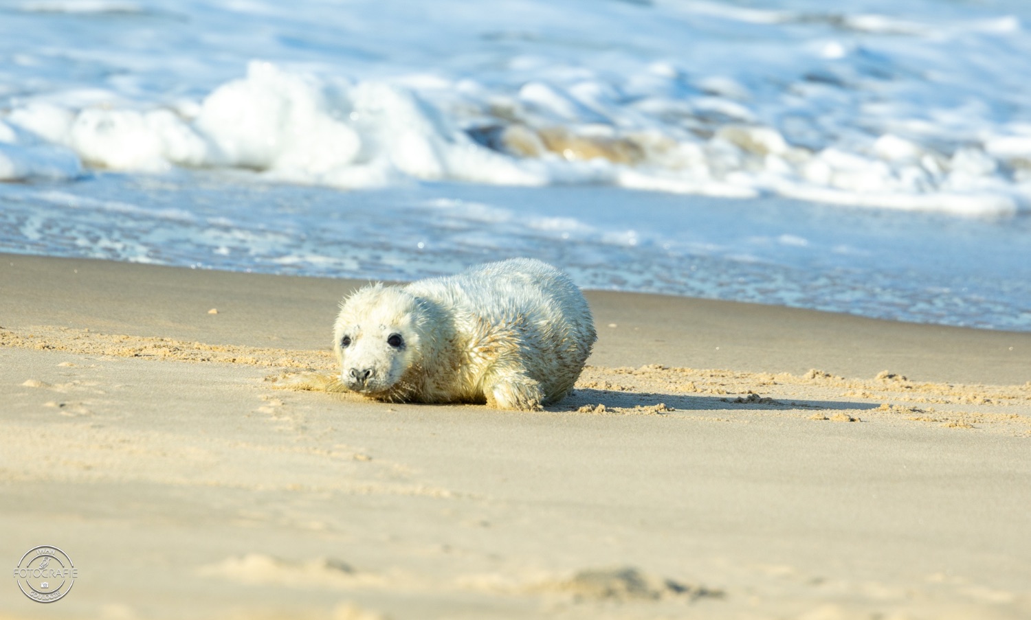 08 januari 2023 150902 1R2A2883